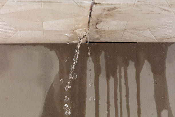 Professional Burst Pipe Cleanup technician working in Walnut, IA